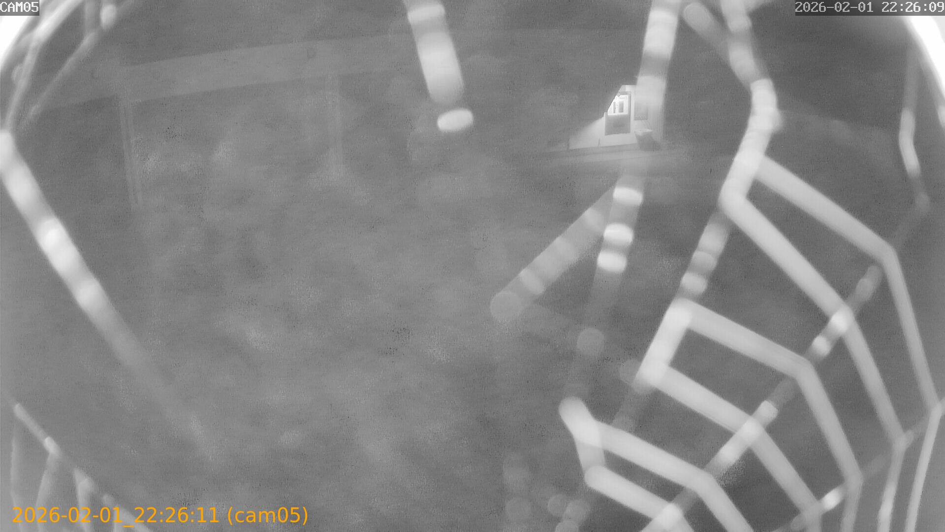 thumbnail_20260201222611