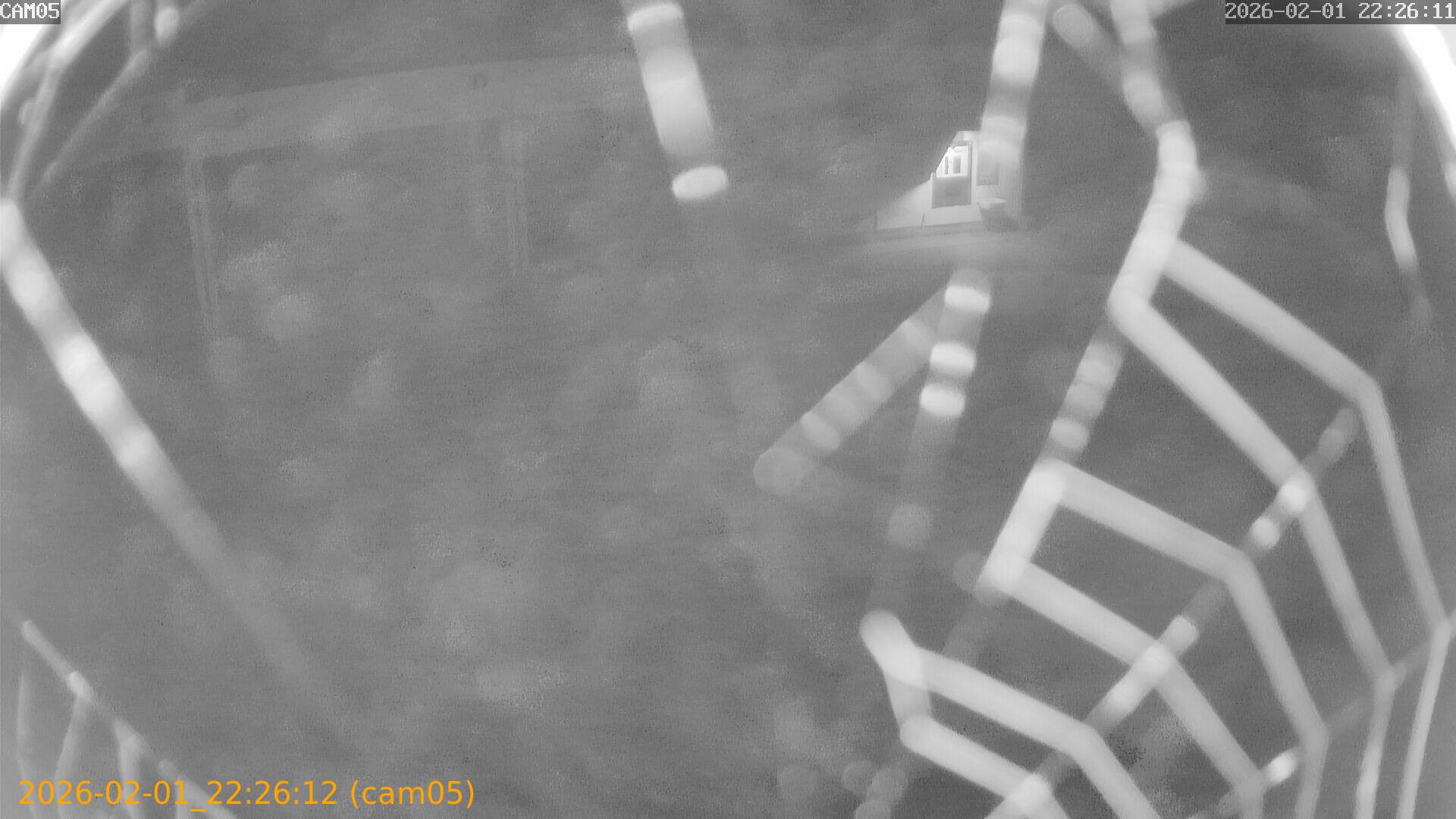 thumbnail_20260201222612