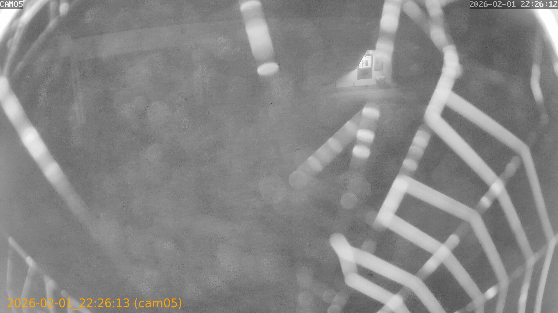 thumbnail_20260201222613