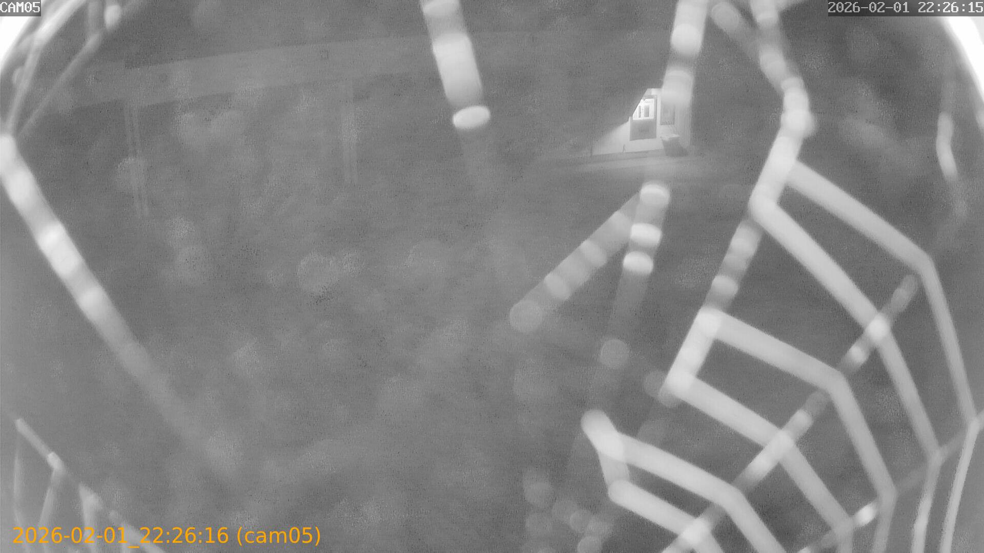 thumbnail_20260201222616