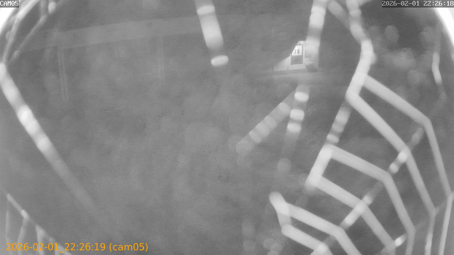 thumbnail_20260201222619