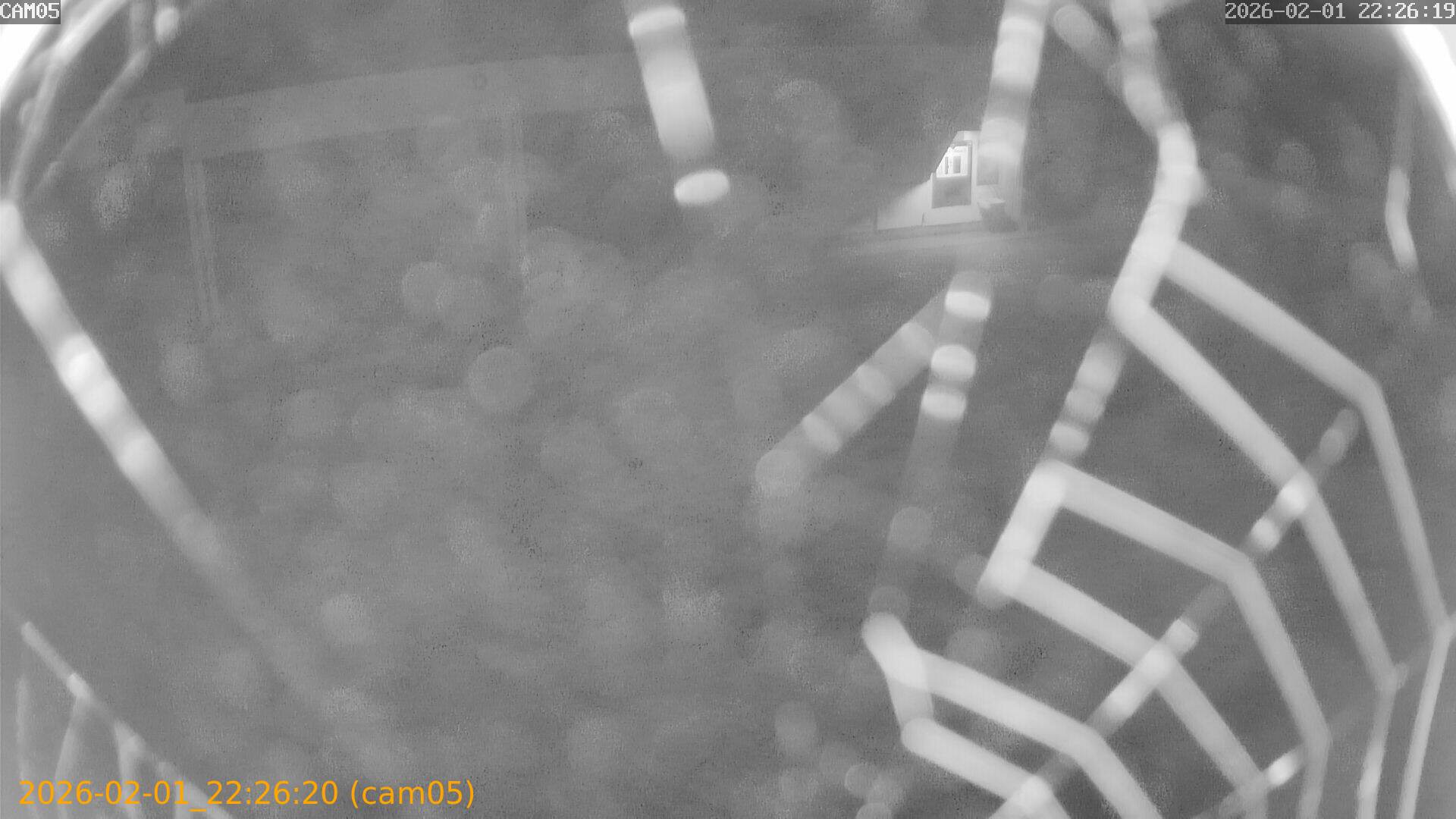 thumbnail_20260201222620