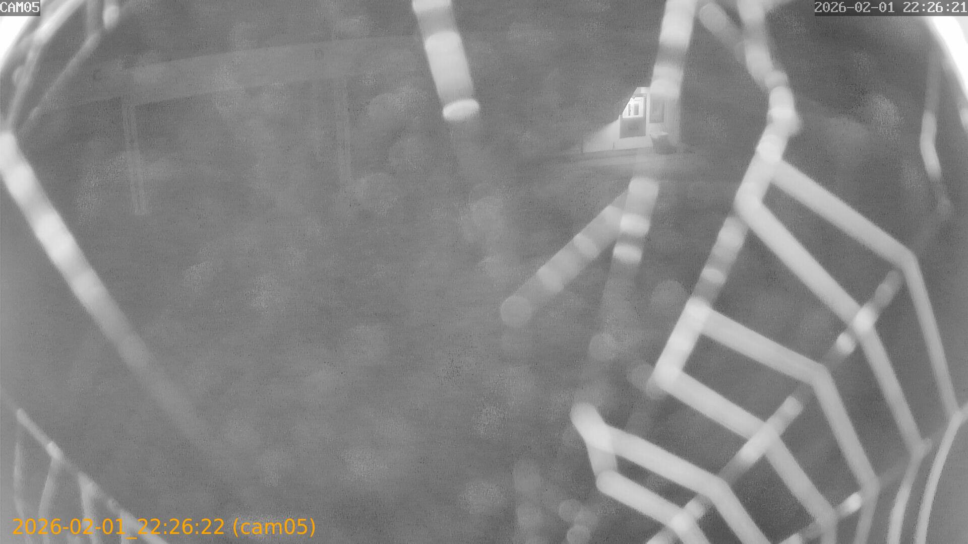 thumbnail_20260201222622