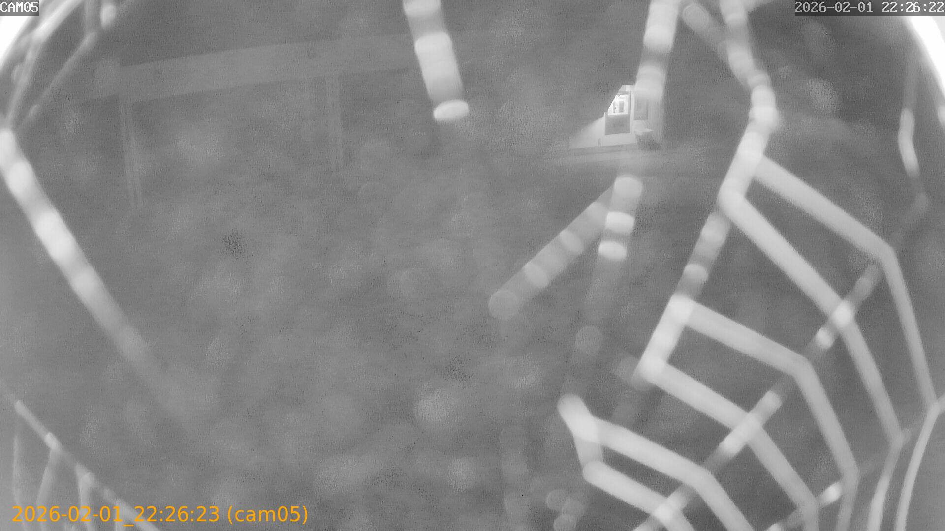 thumbnail_20260201222623