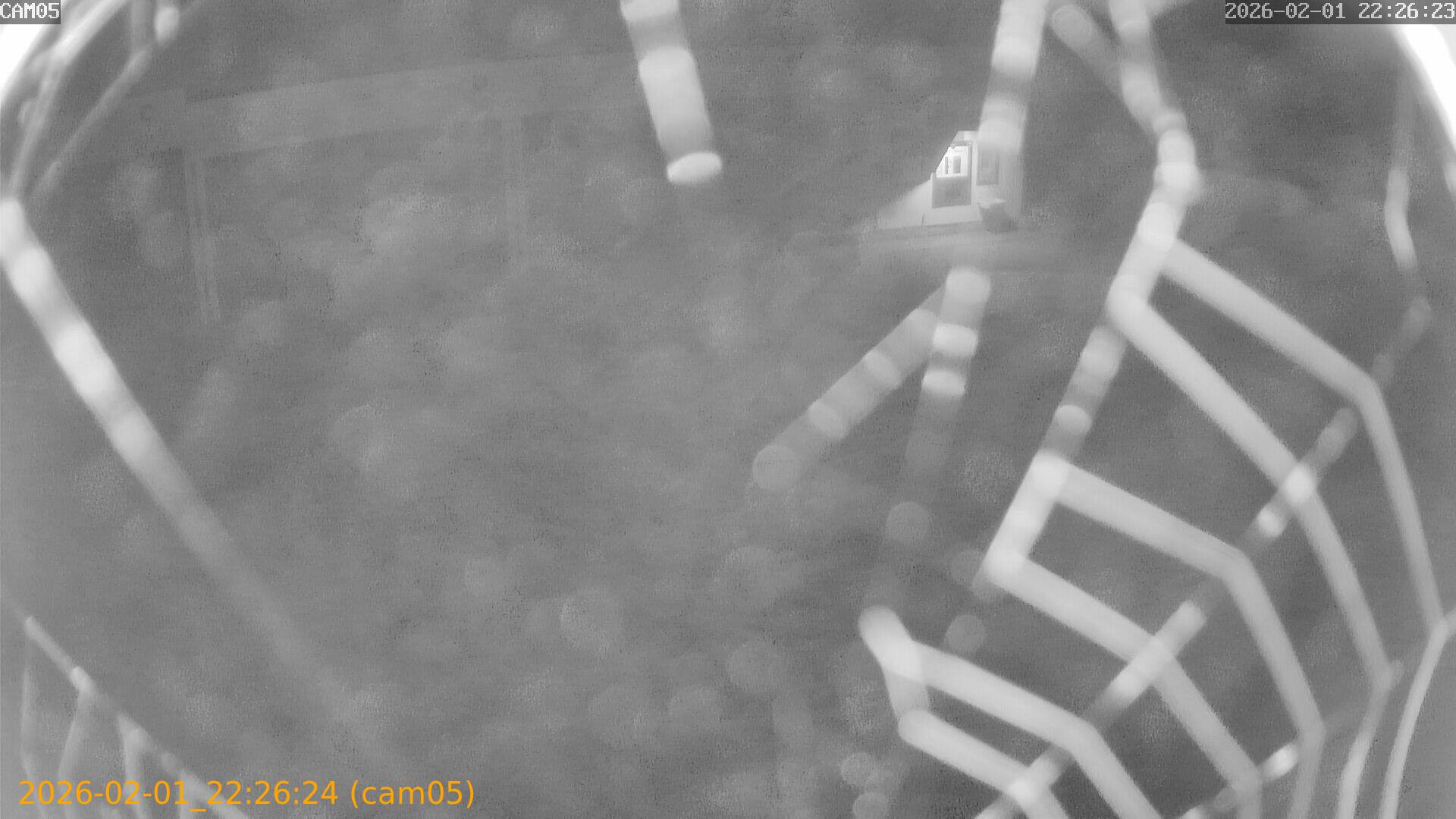 thumbnail_20260201222624