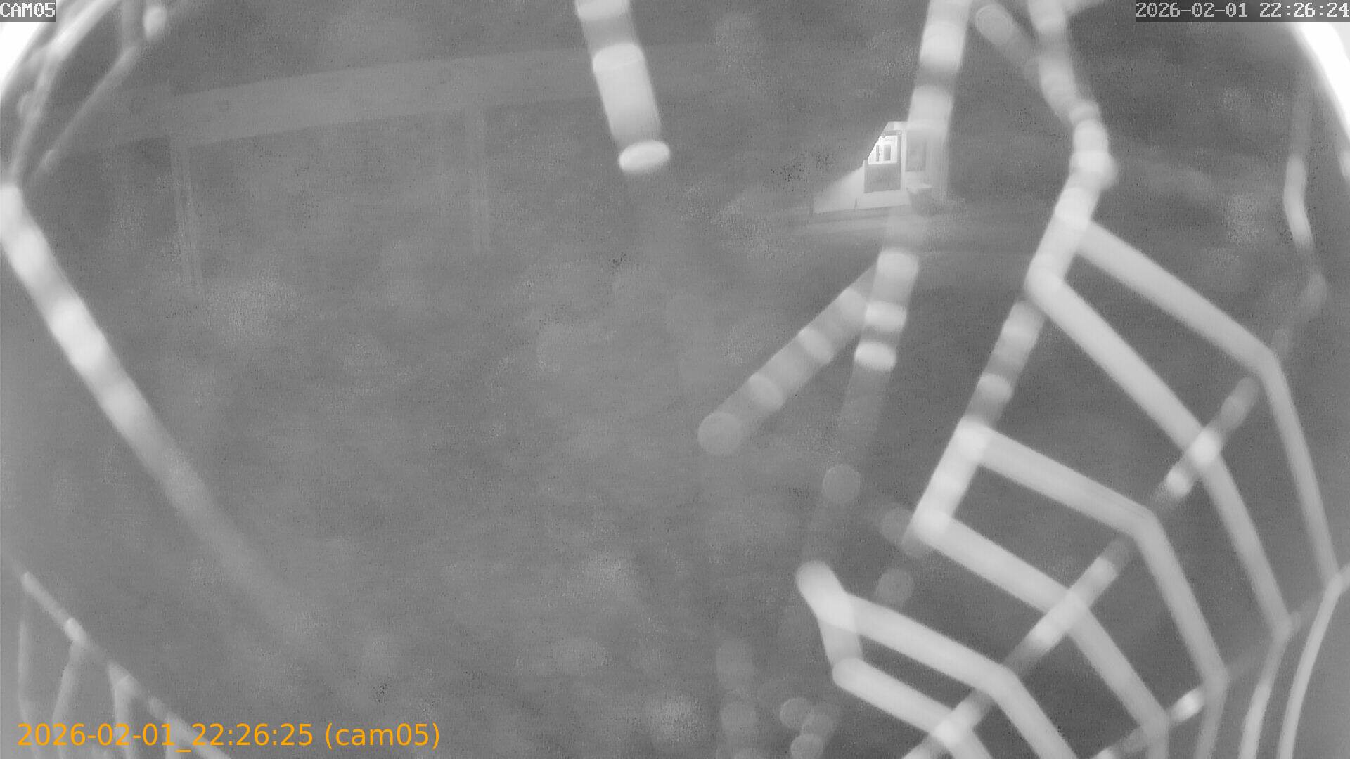 thumbnail_20260201222625