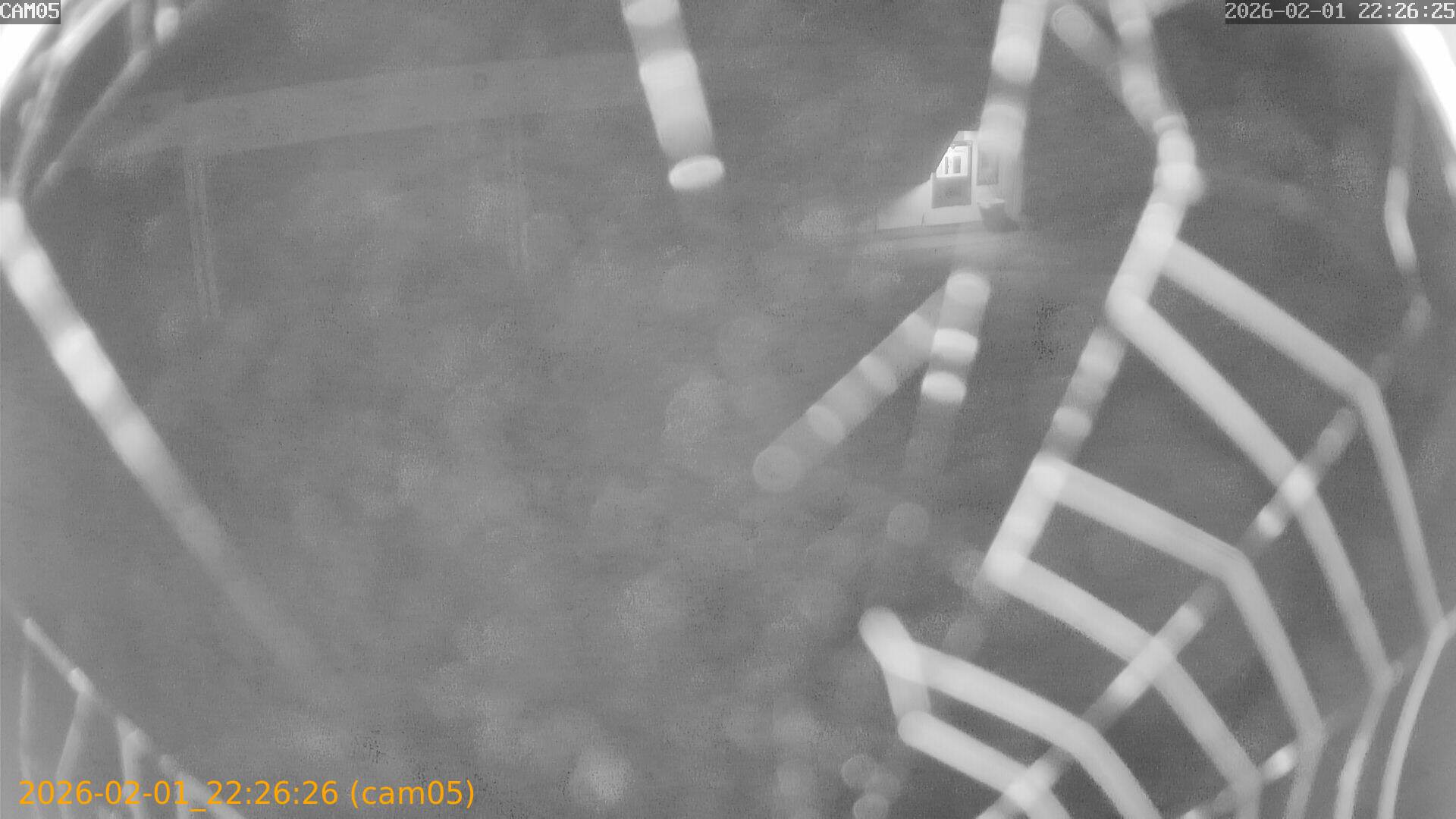 thumbnail_20260201222626