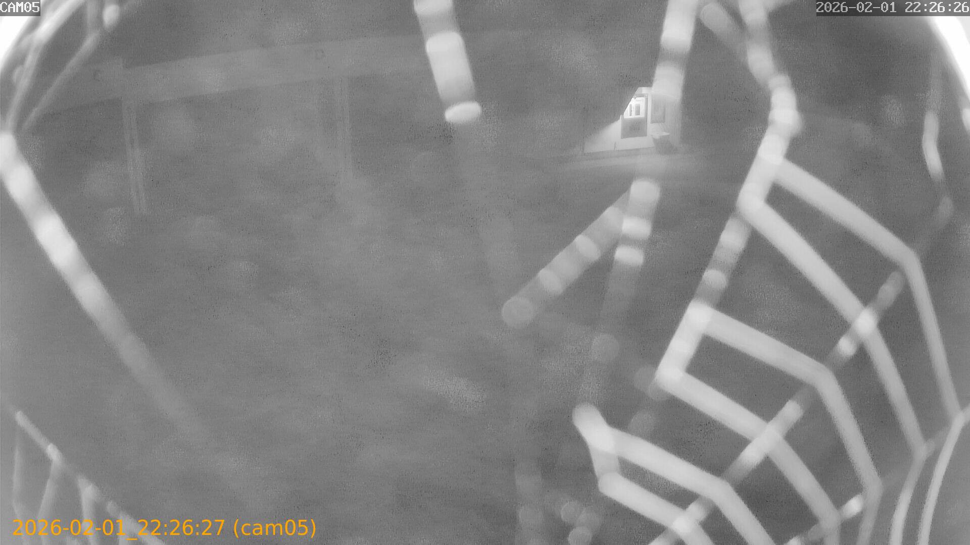 thumbnail_20260201222627