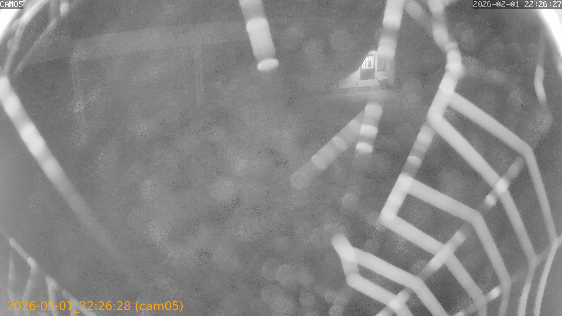 thumbnail_20260201222628