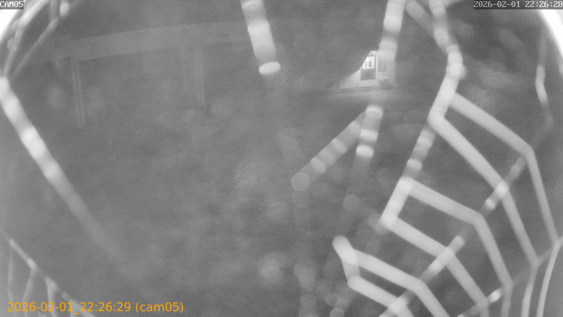 thumbnail_20260201222629