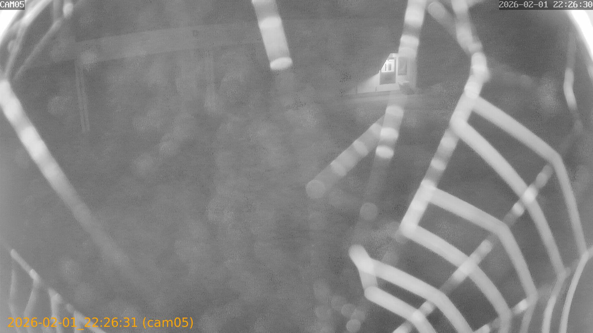 thumbnail_20260201222631