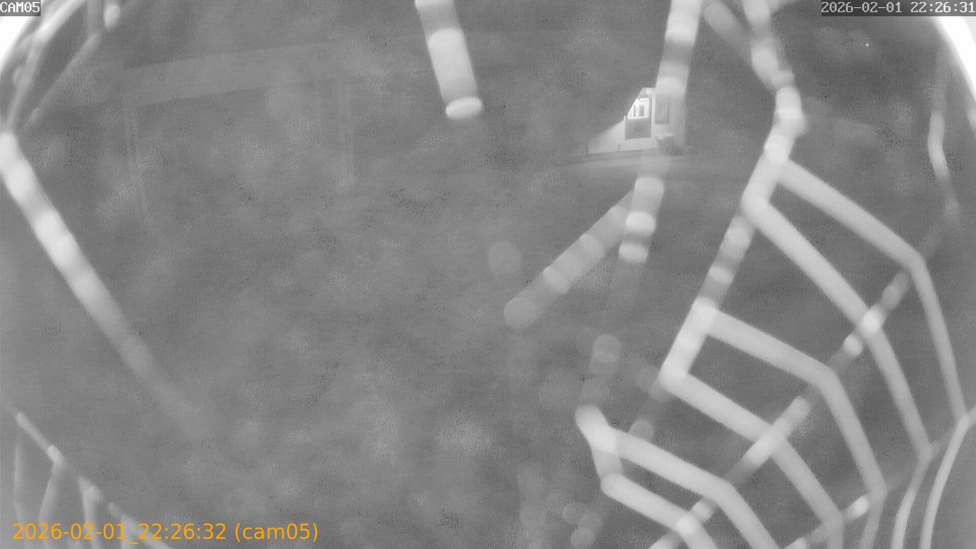 thumbnail_20260201222632