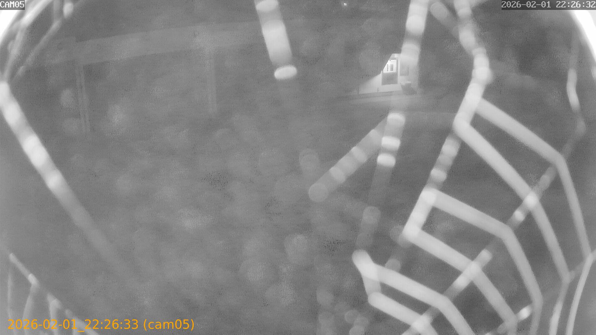 thumbnail_20260201222633