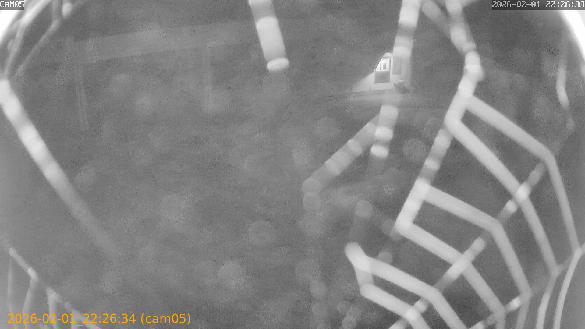 thumbnail_20260201222634