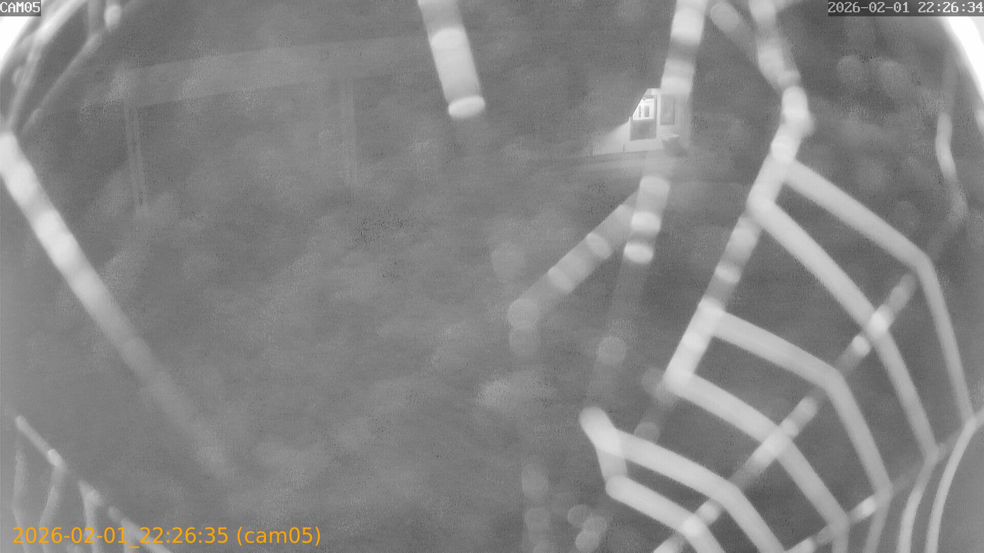 thumbnail_20260201222635