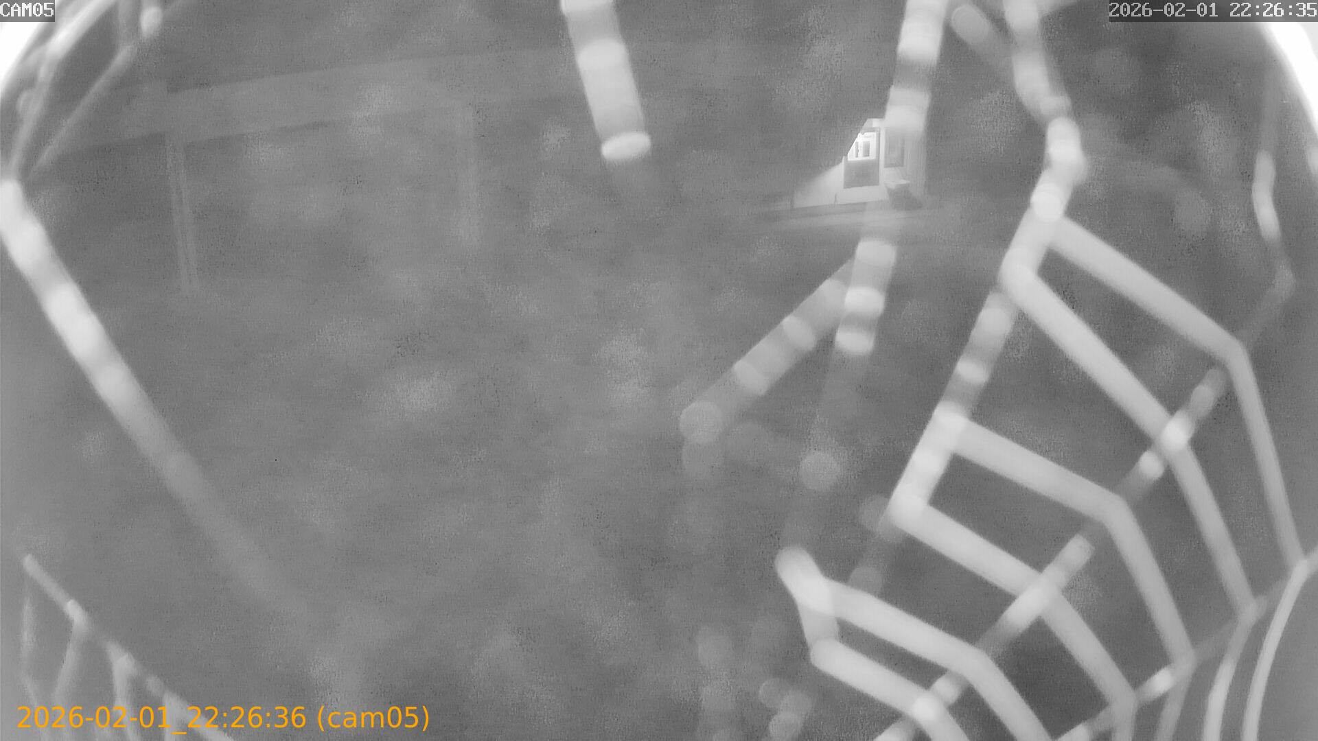 thumbnail_20260201222636