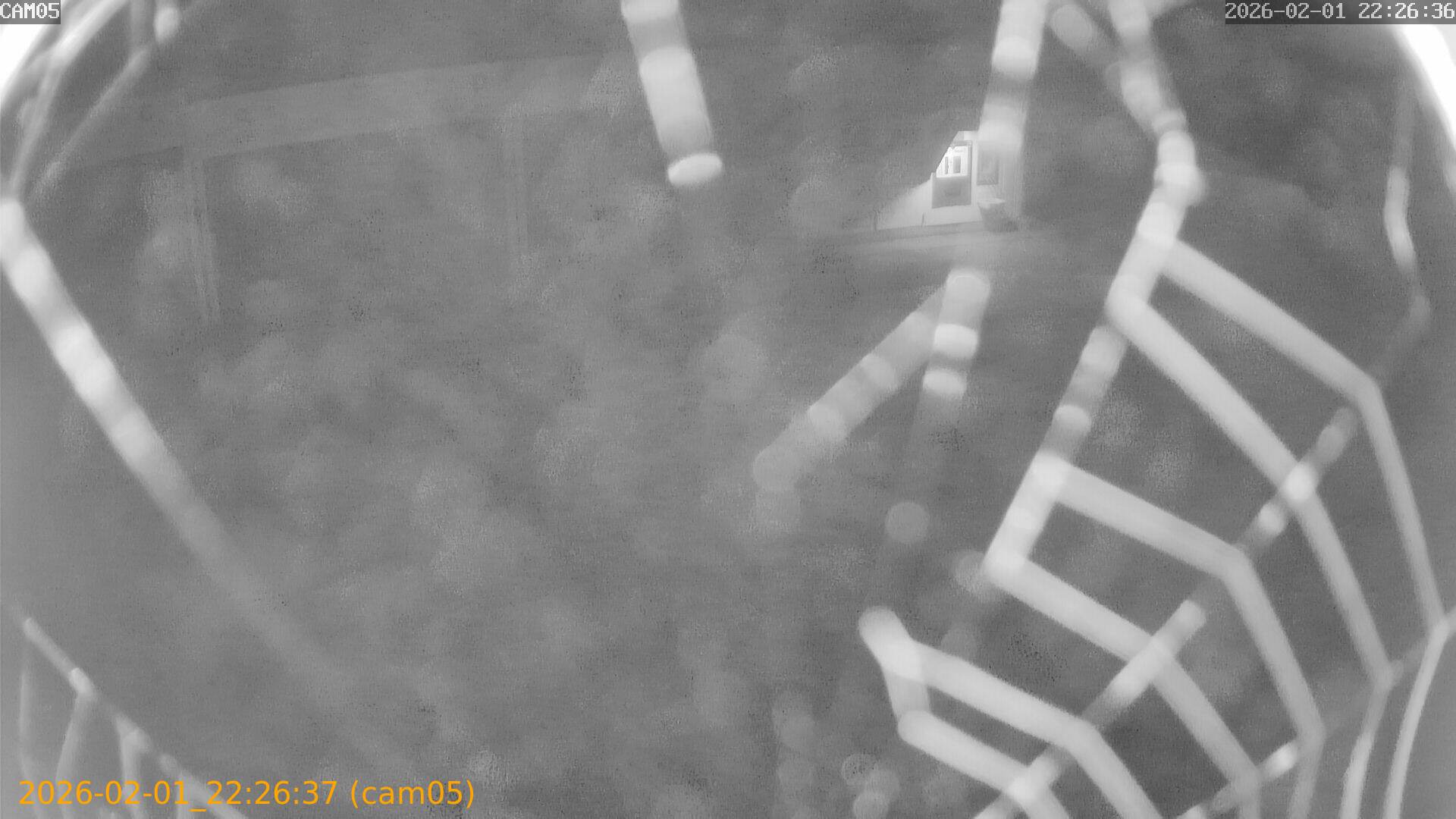 thumbnail_20260201222637