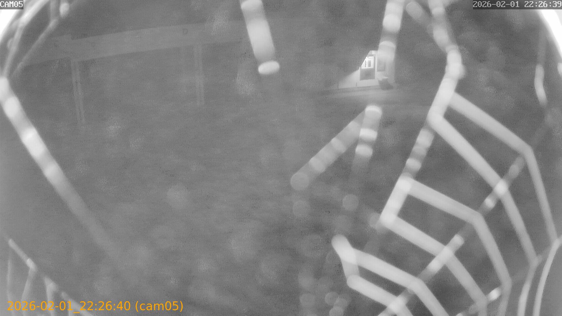 thumbnail_20260201222640