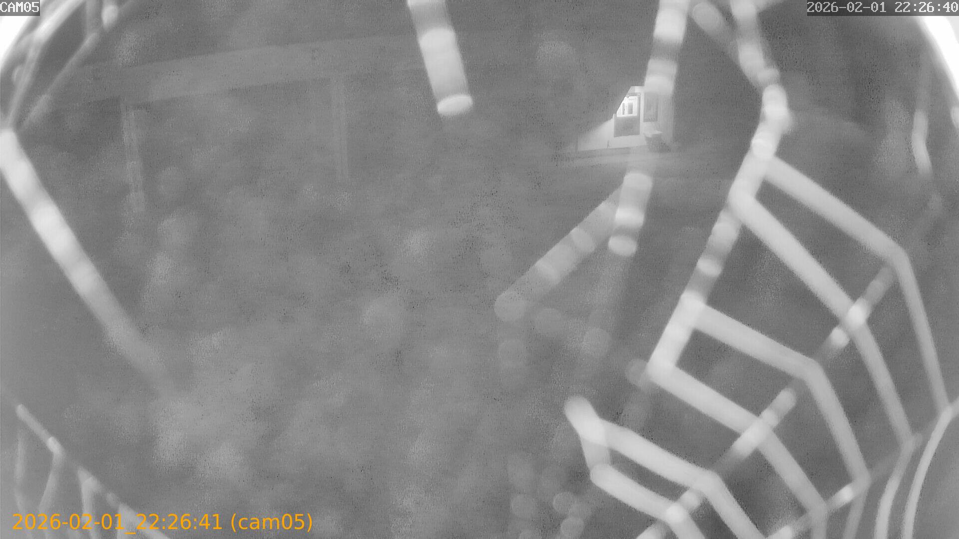 thumbnail_20260201222641