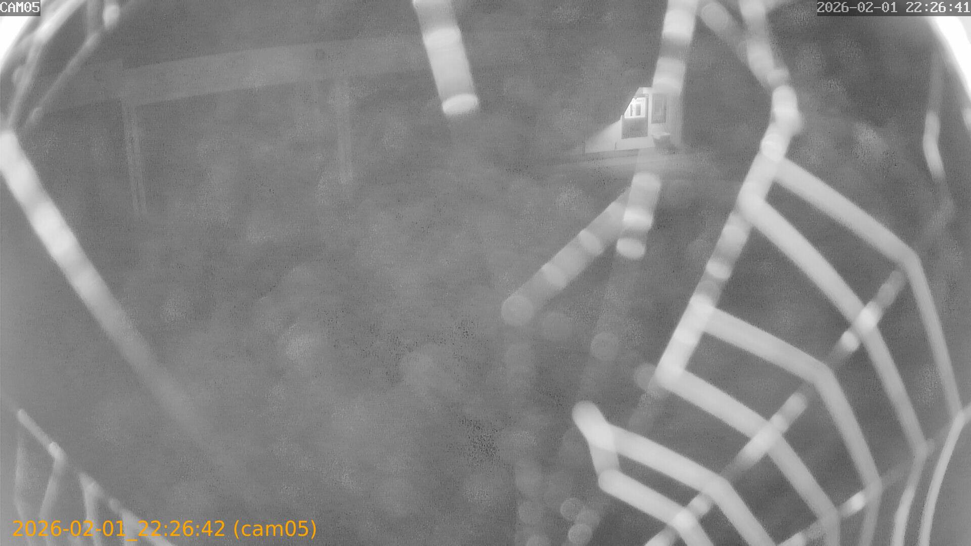 thumbnail_20260201222642