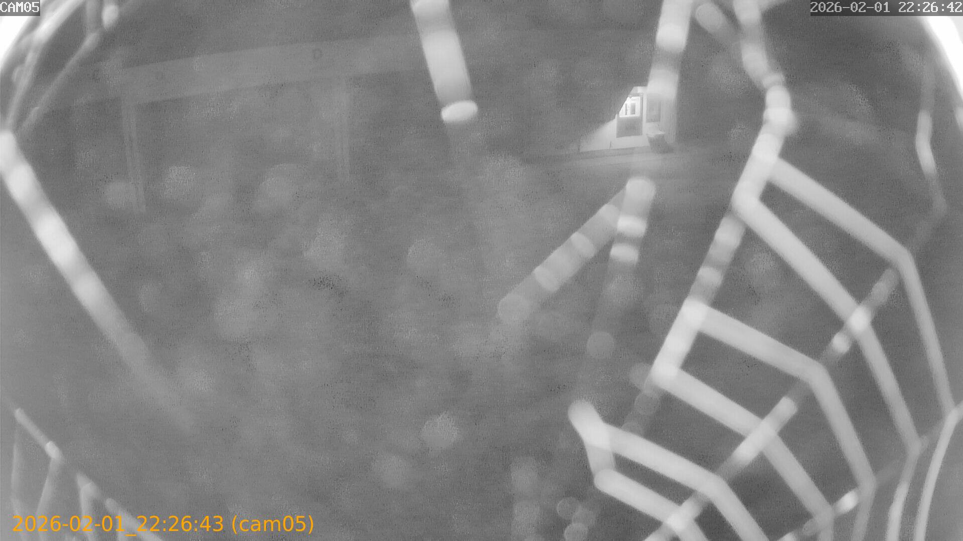 thumbnail_20260201222643