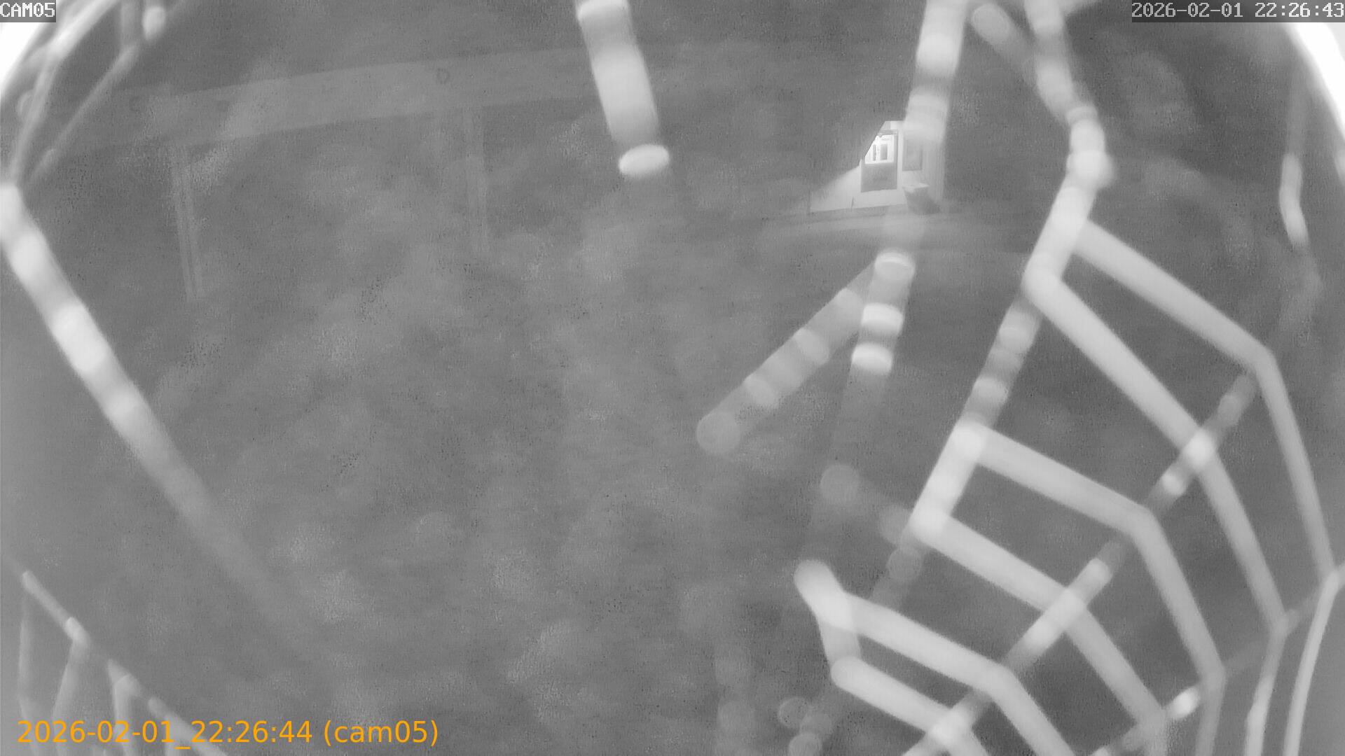 thumbnail_20260201222644