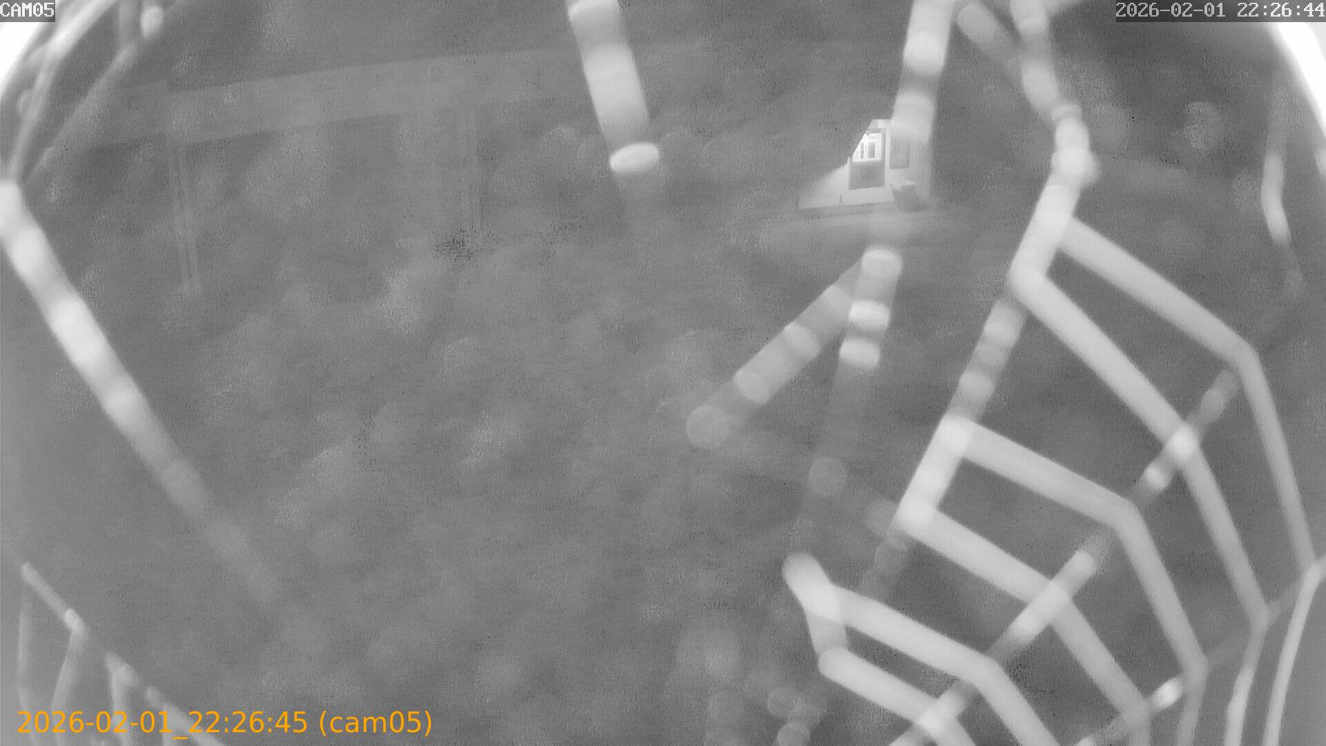 thumbnail_20260201222645