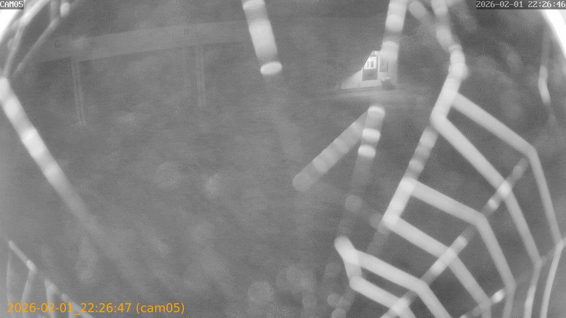 thumbnail_20260201222647