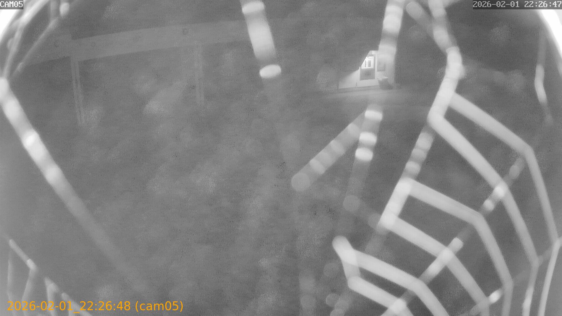 thumbnail_20260201222648