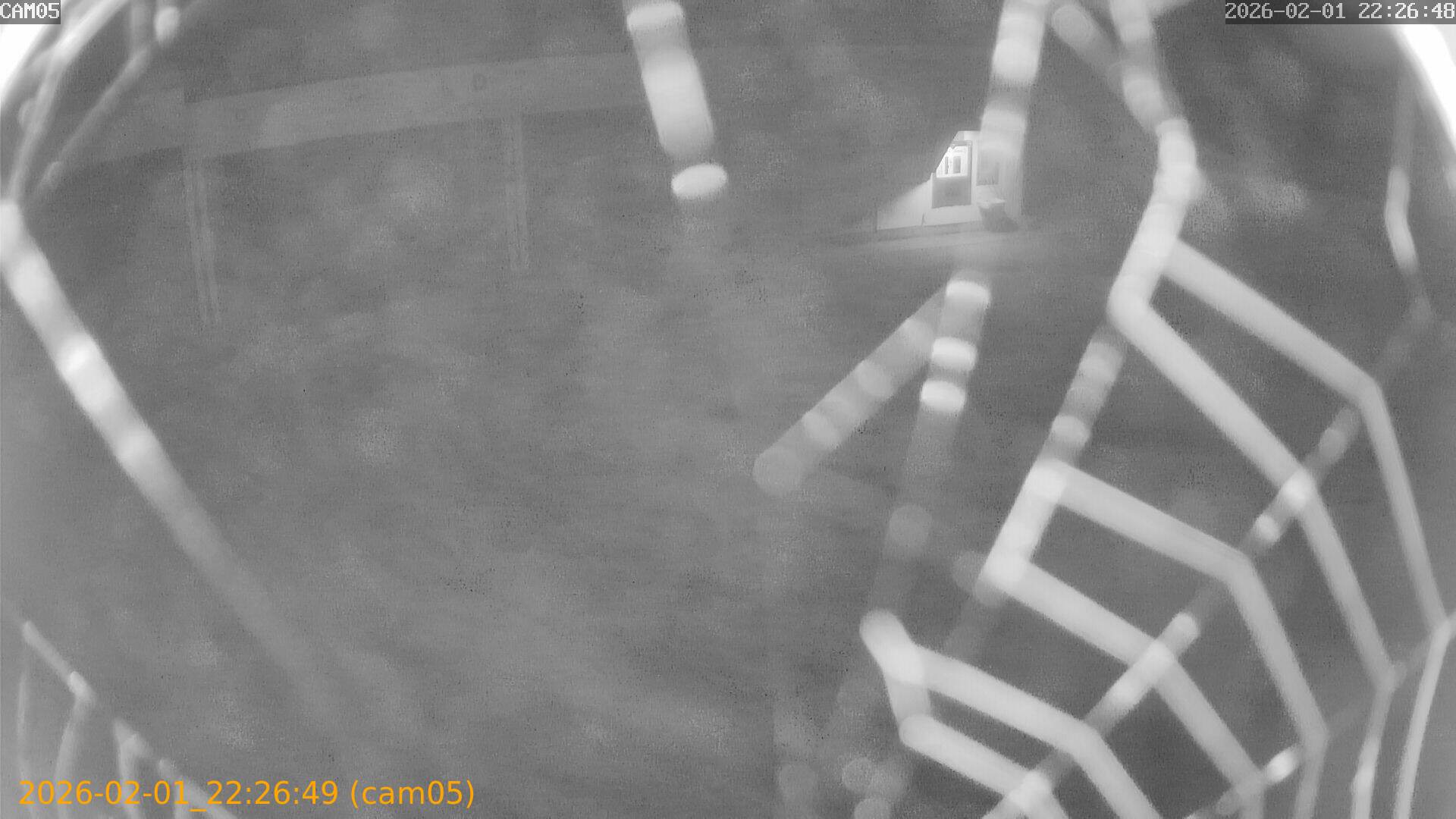 thumbnail_20260201222649