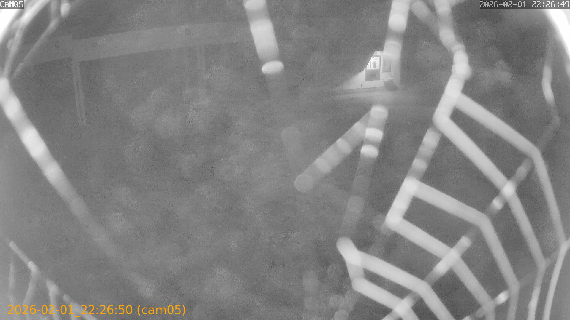 thumbnail_20260201222650