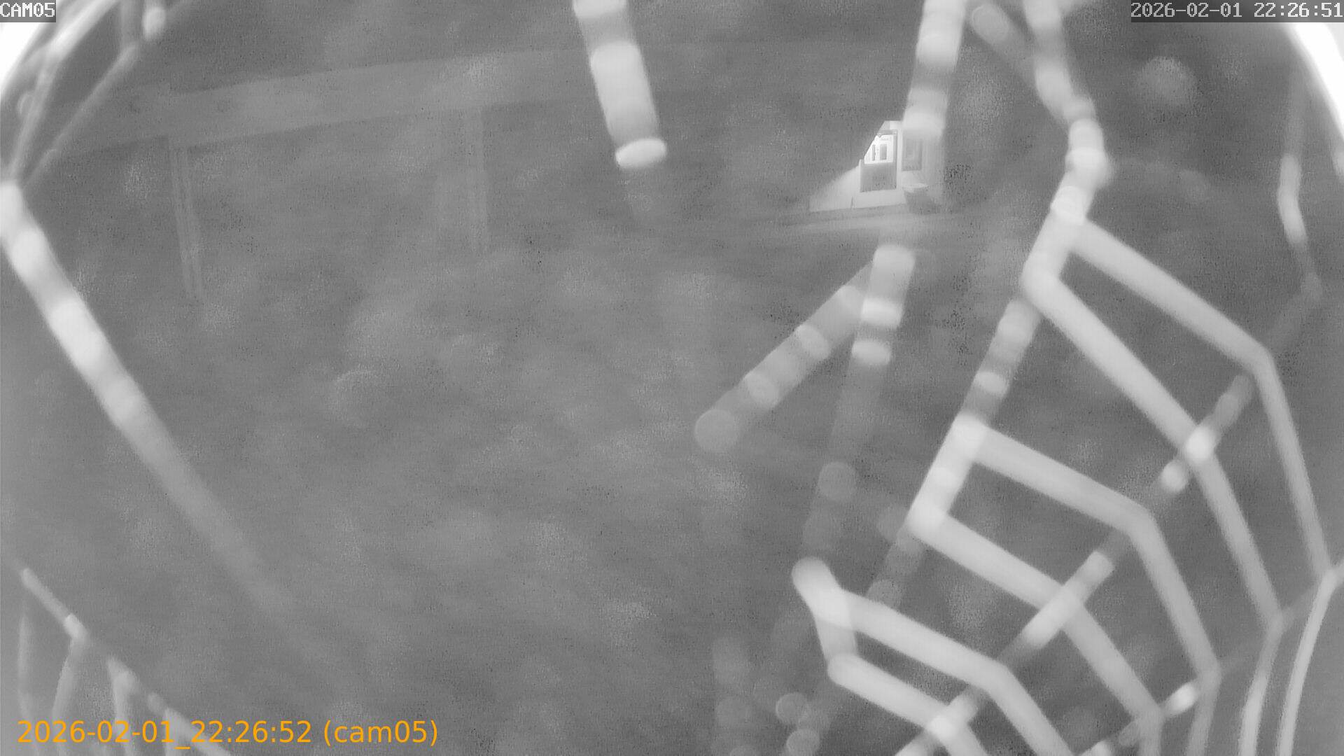 thumbnail_20260201222652