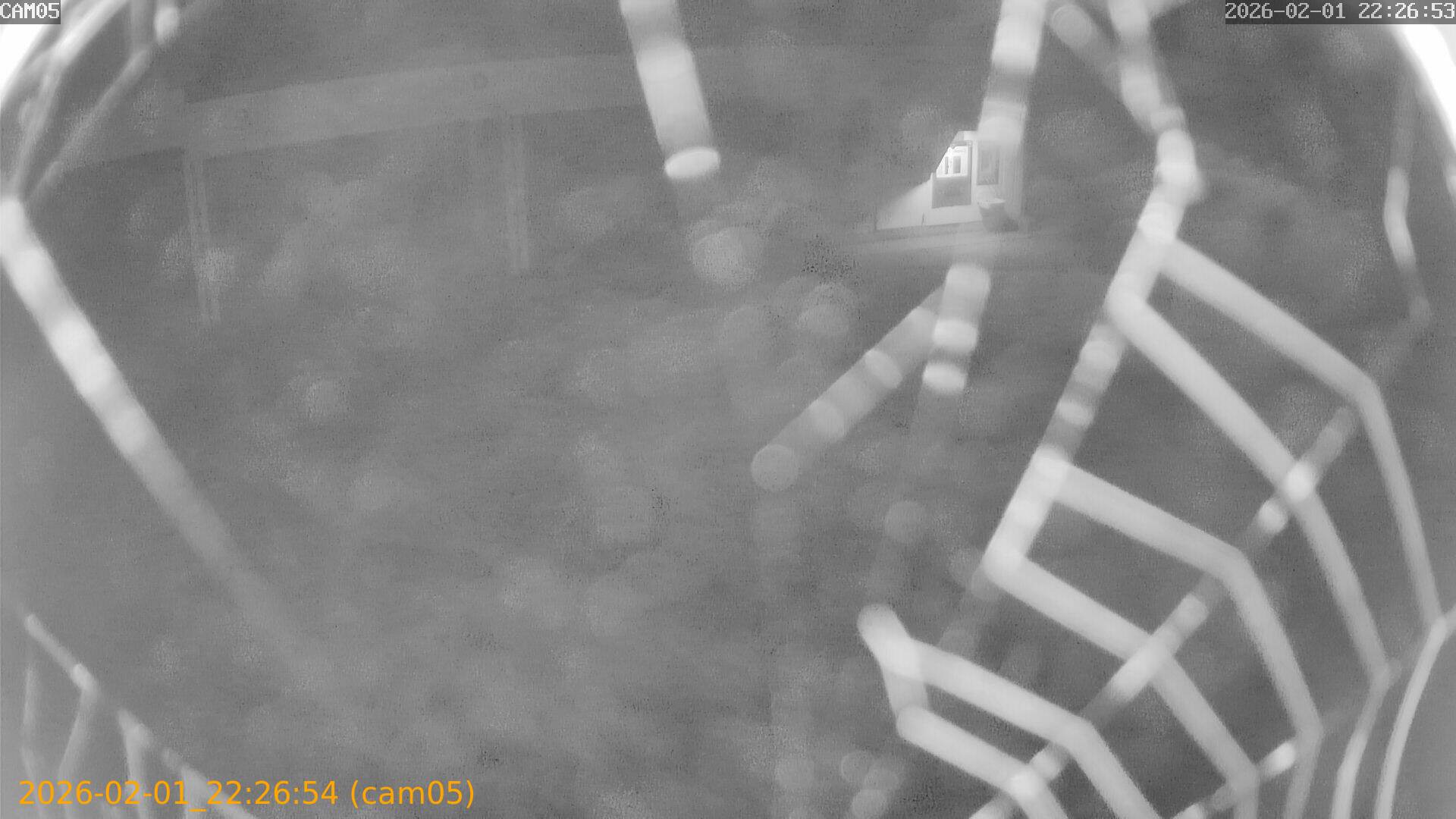 thumbnail_20260201222654