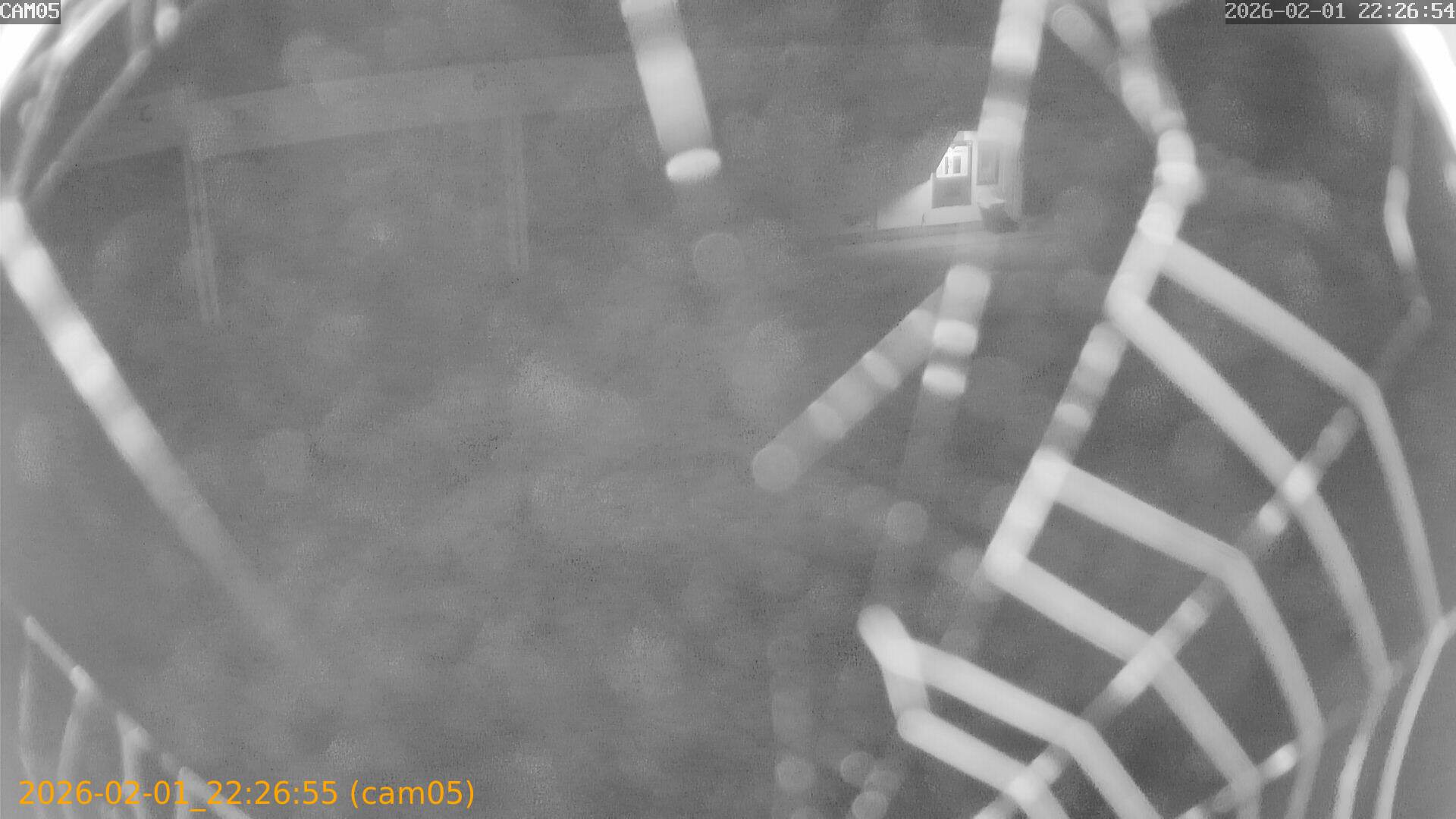 thumbnail_20260201222655