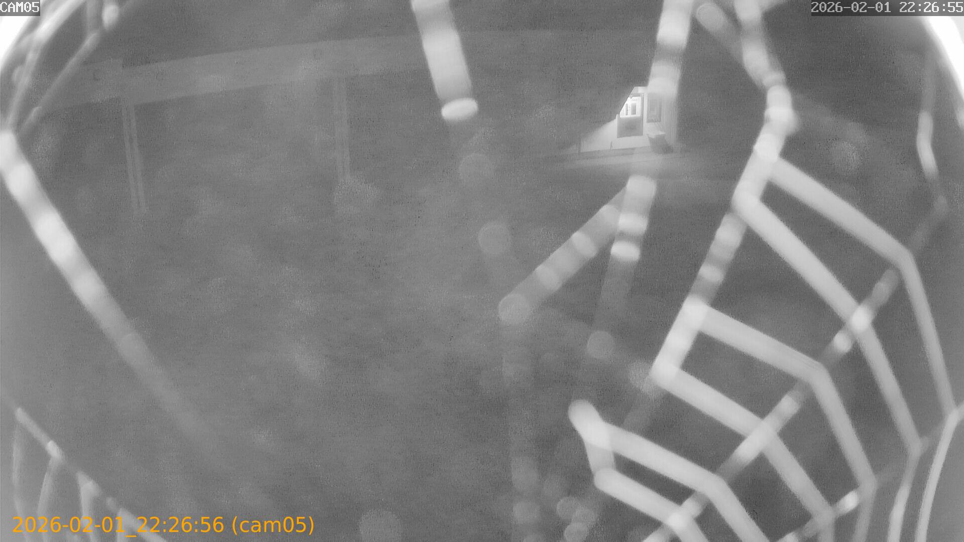 thumbnail_20260201222656