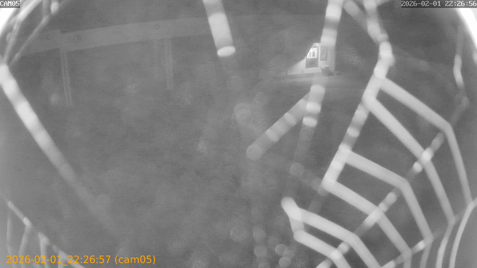 thumbnail_20260201222657