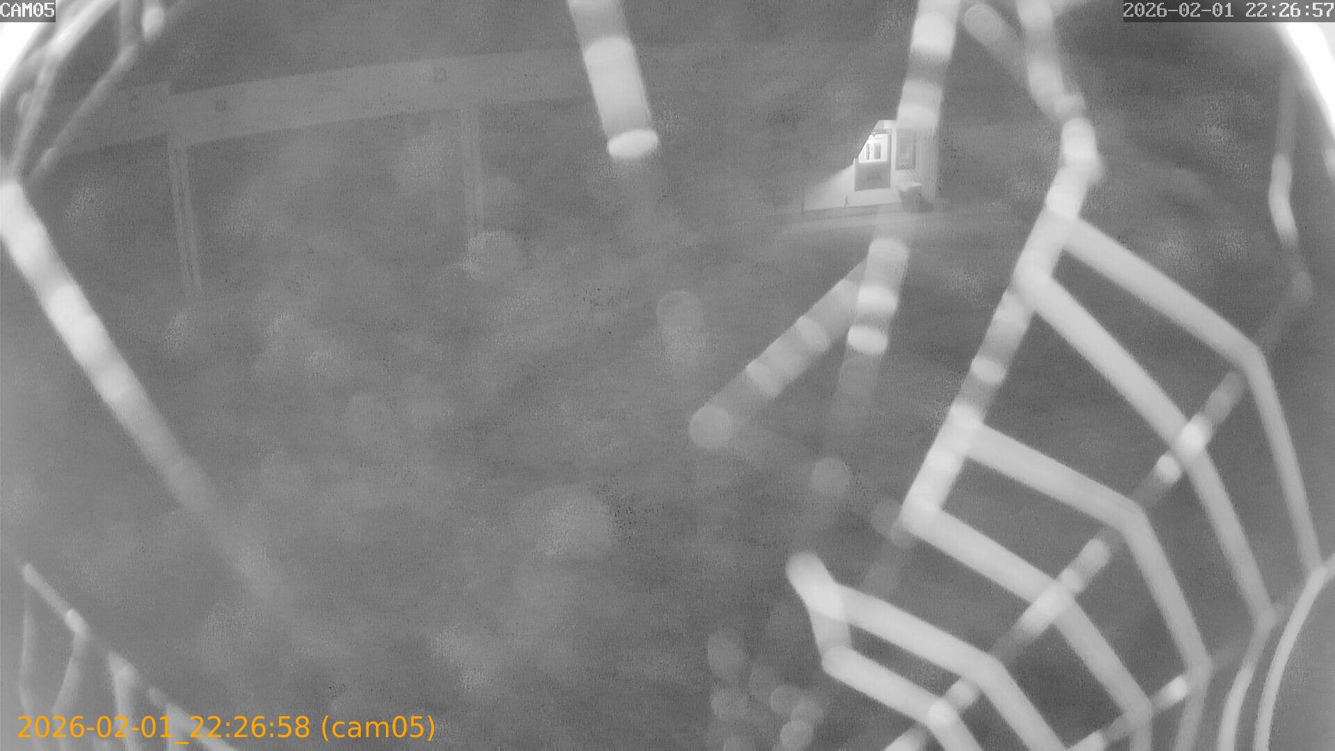 thumbnail_20260201222658