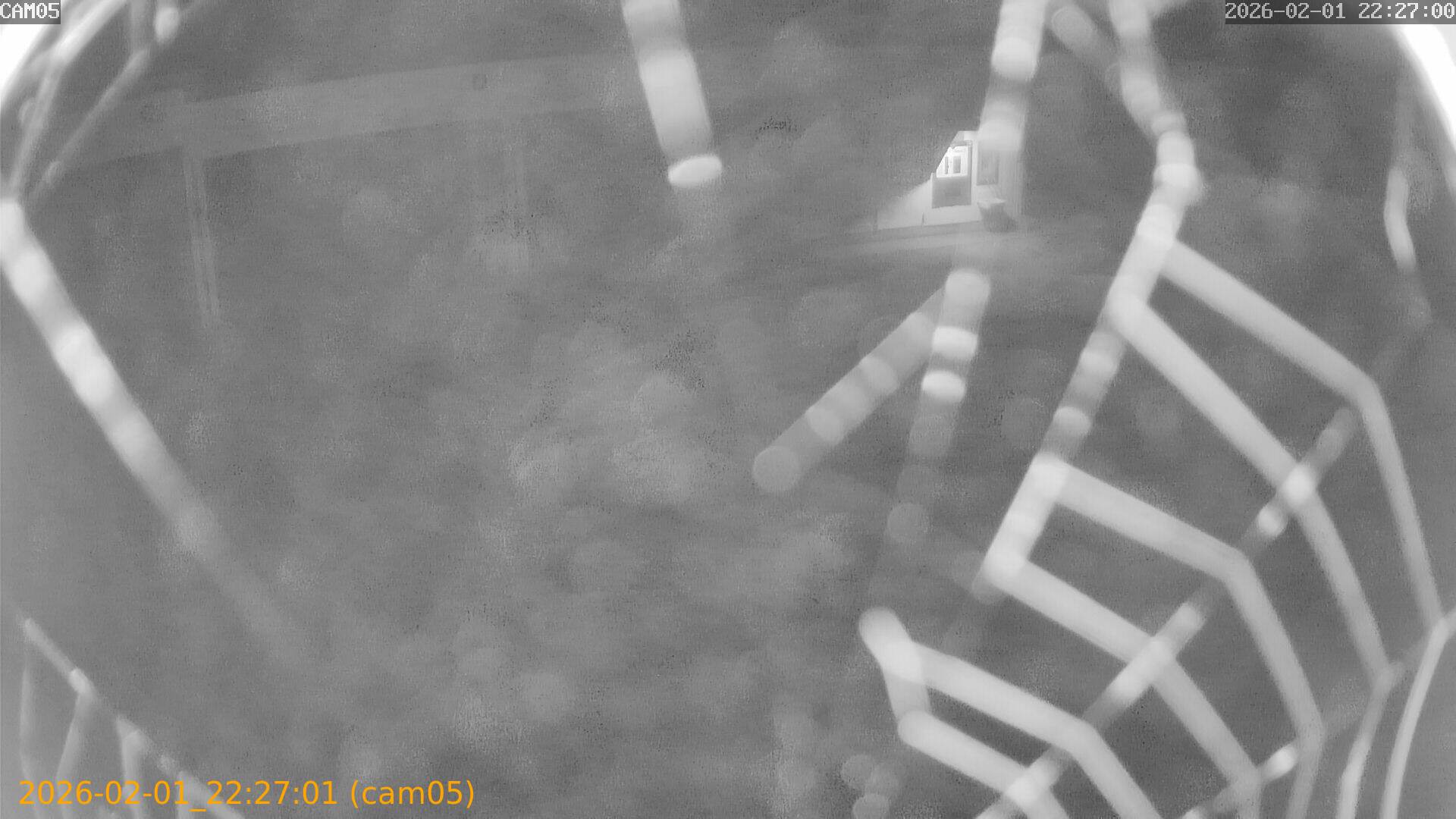 thumbnail_20260201222701