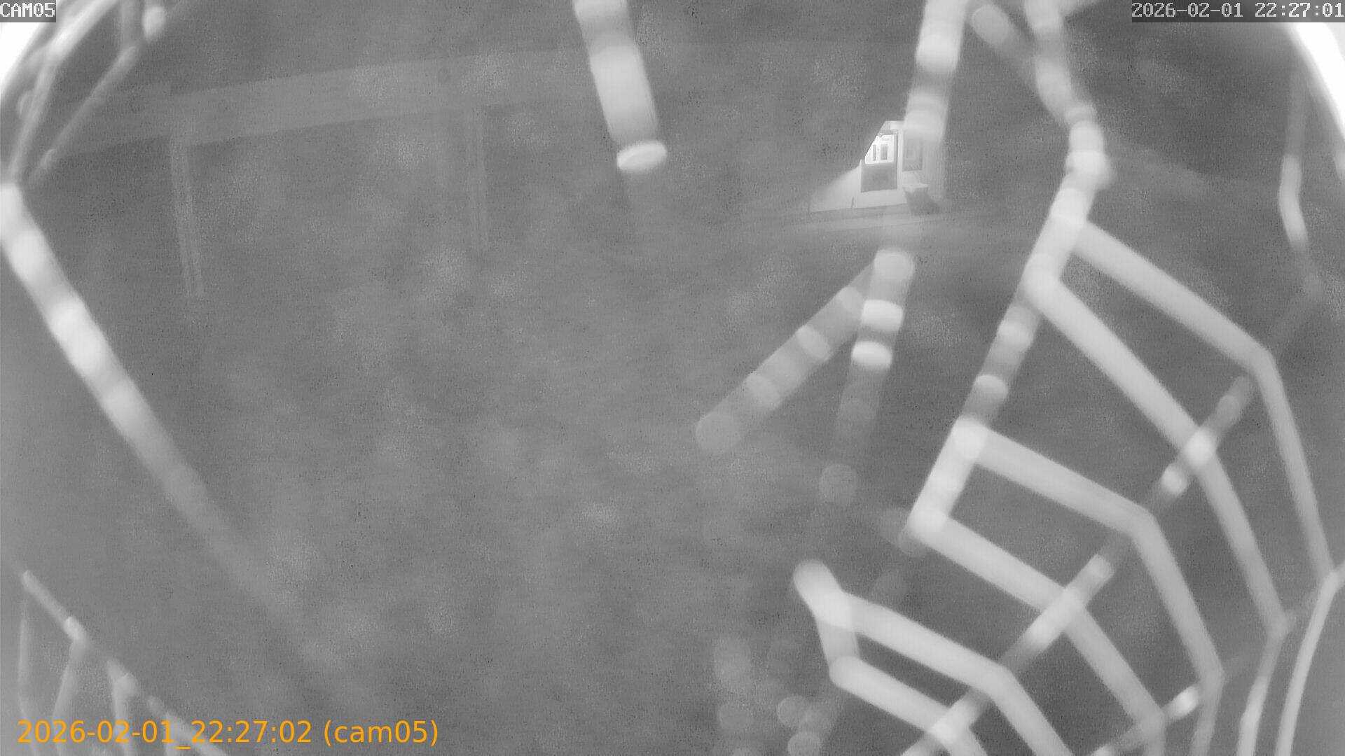 thumbnail_20260201222702