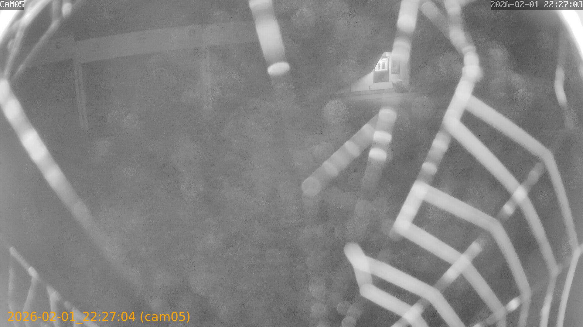 thumbnail_20260201222704