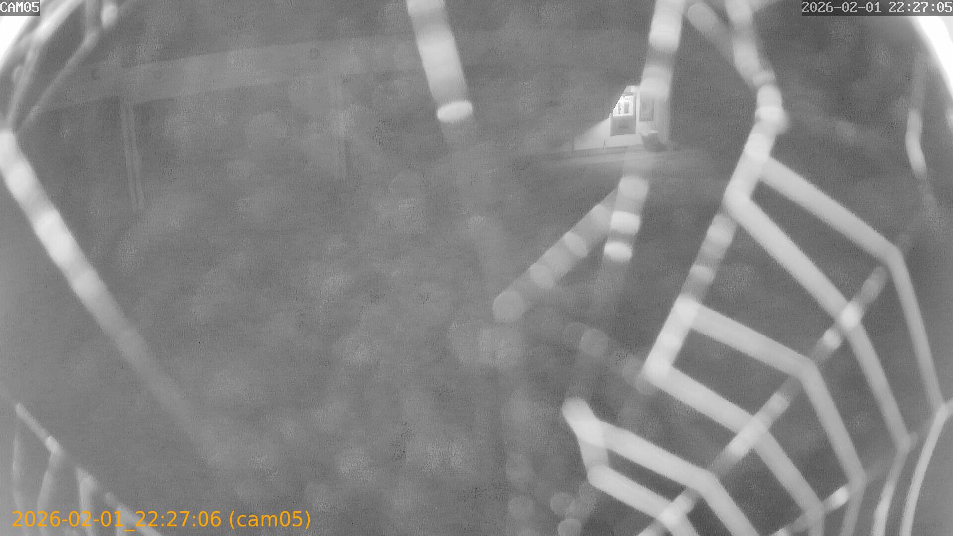 thumbnail_20260201222706