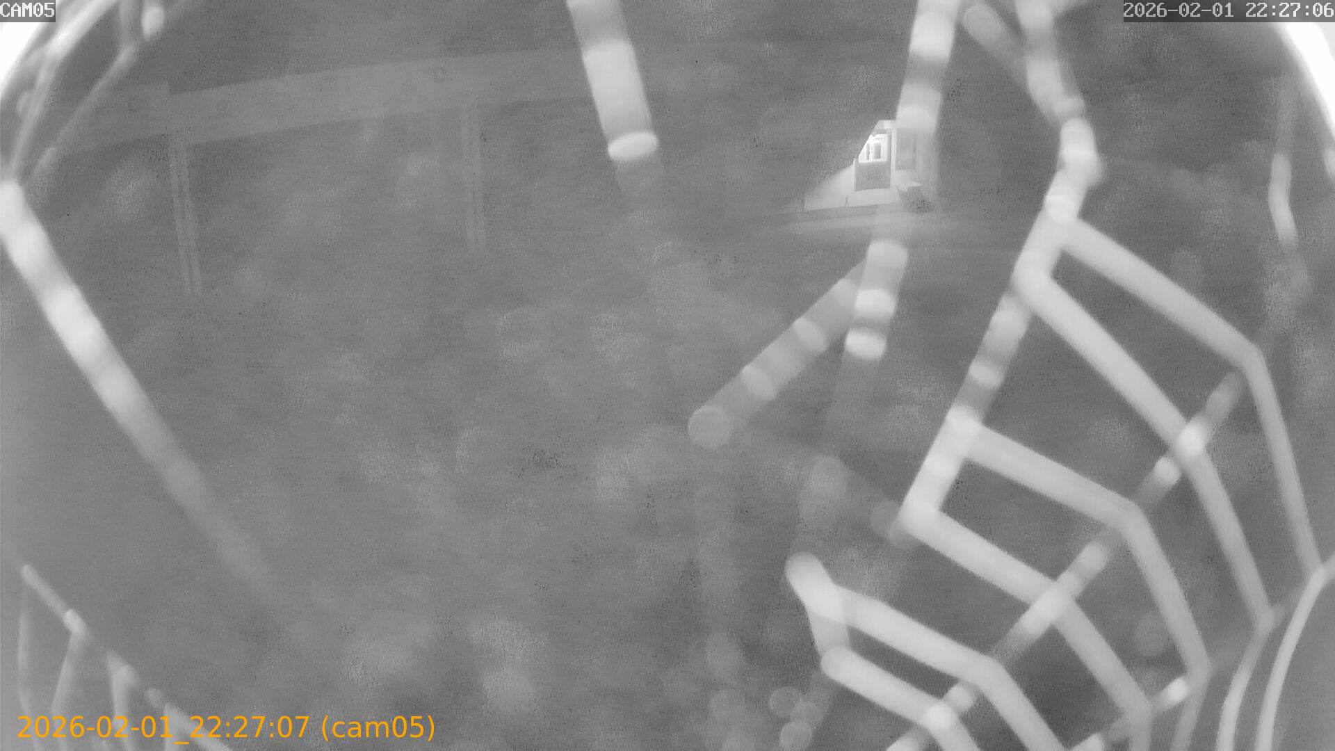 thumbnail_20260201222707