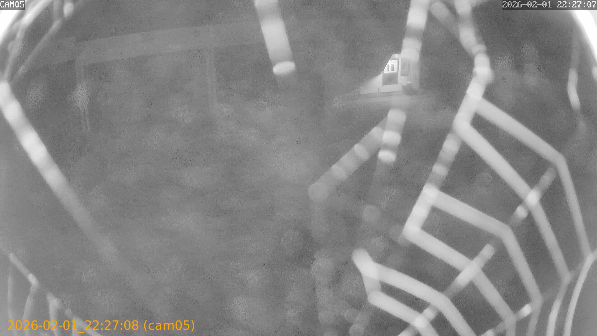 thumbnail_20260201222708