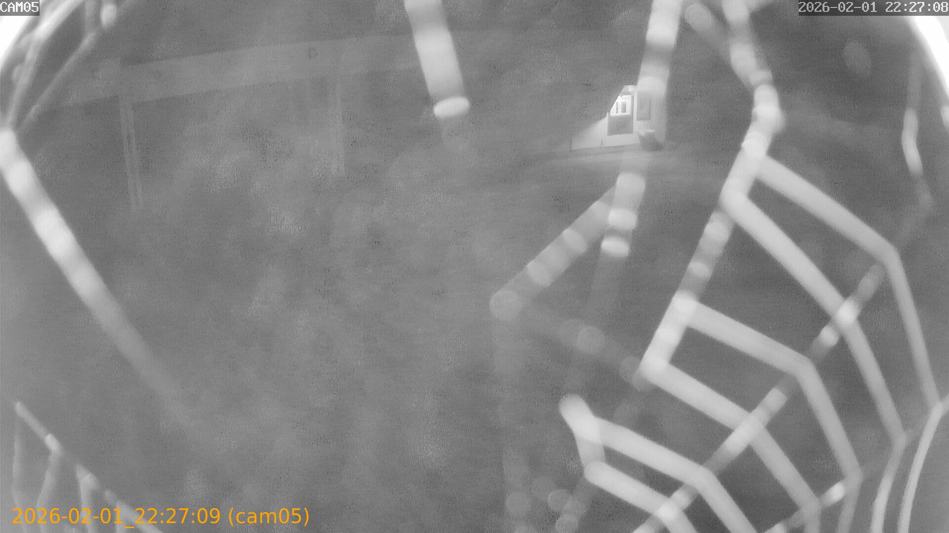 thumbnail_20260201222709