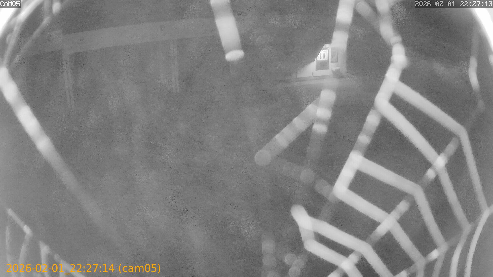 thumbnail_20260201222714