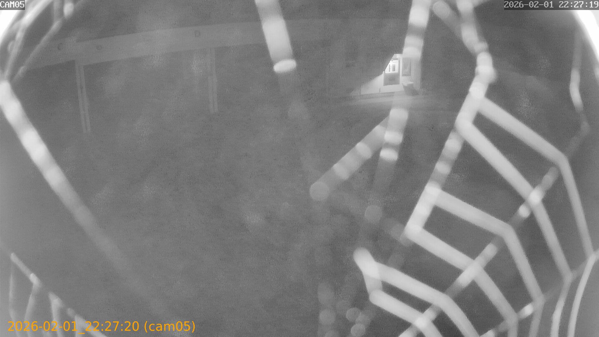 thumbnail_20260201222720