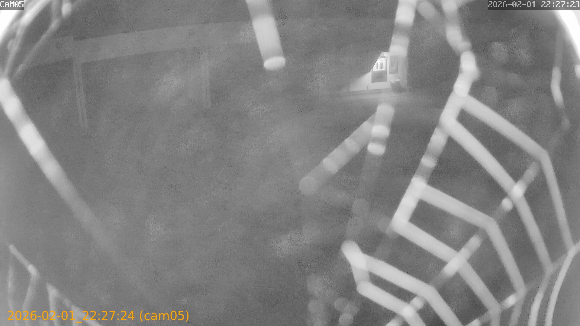 thumbnail_20260201222724