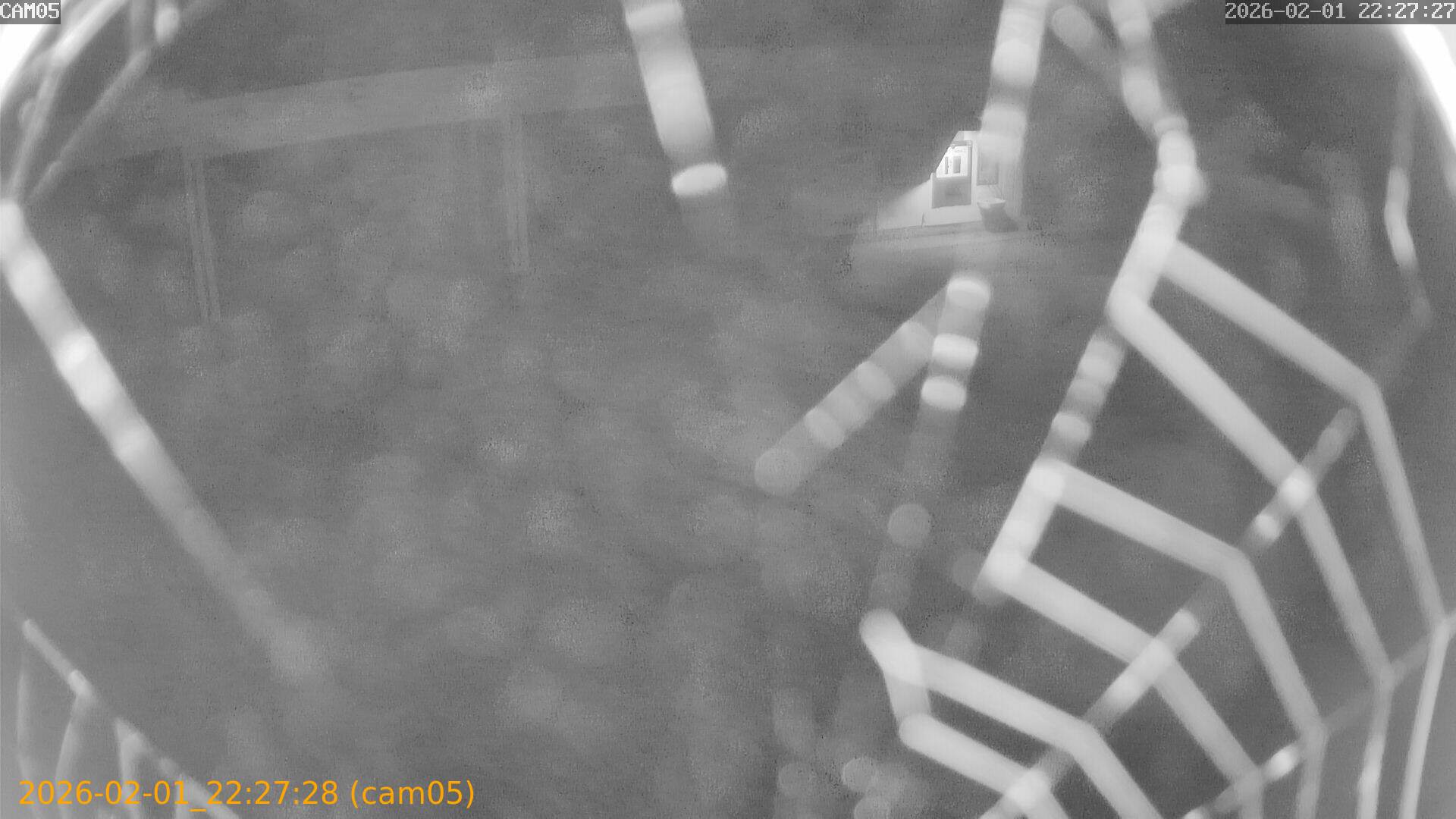 thumbnail_20260201222728