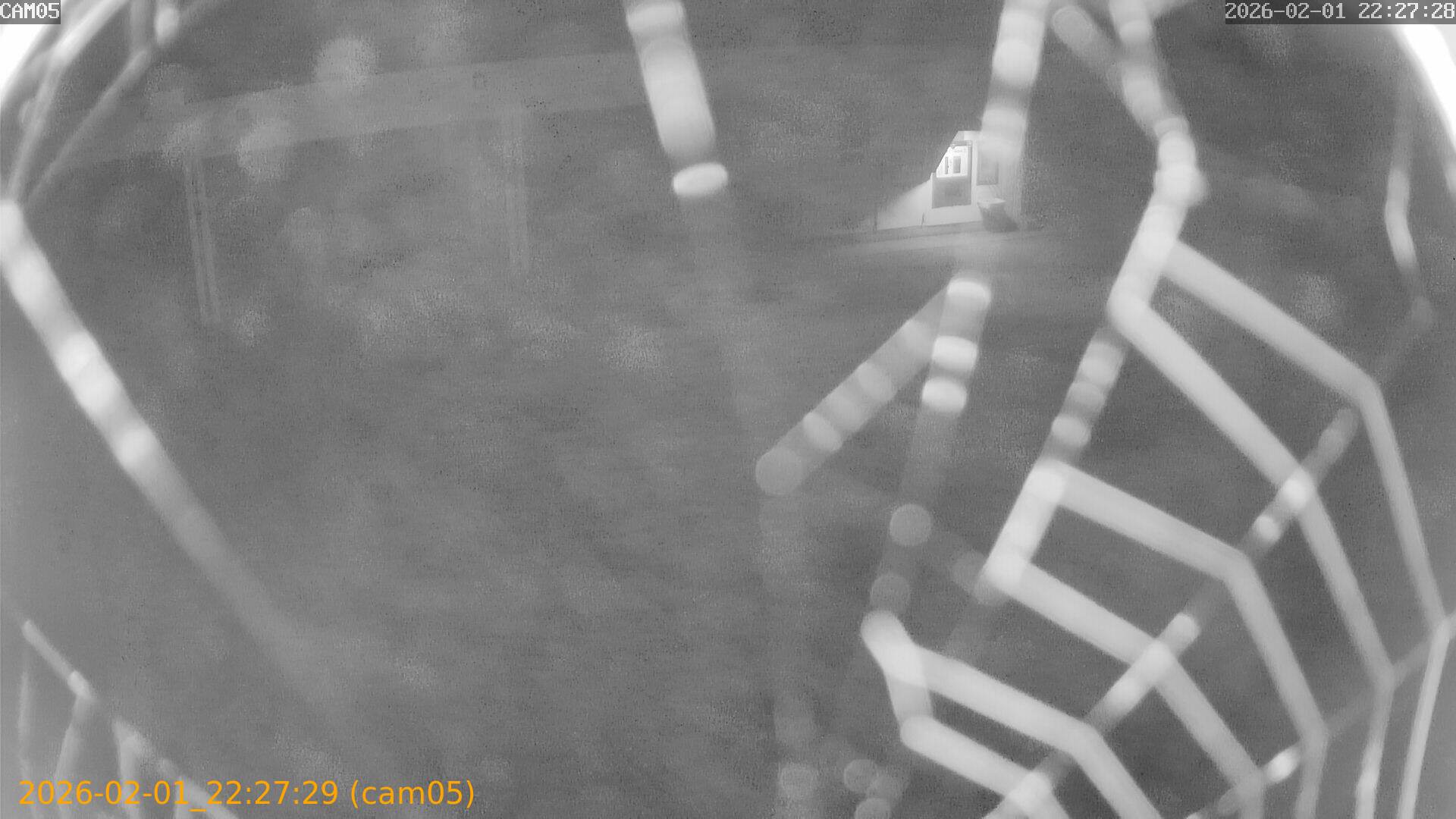 thumbnail_20260201222729