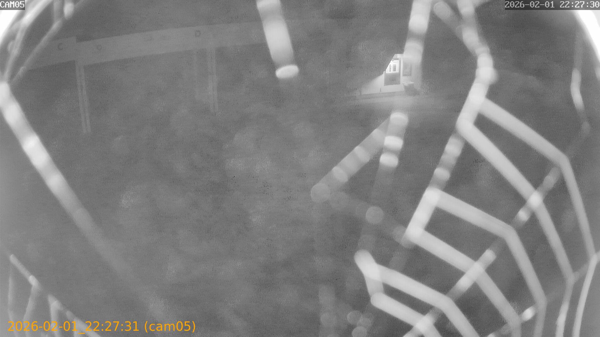 thumbnail_20260201222731